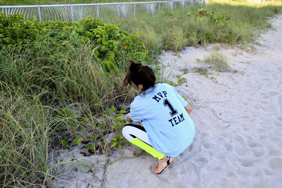 4.23.19 Employee Earth Day Beach Clean-Up _LE_ 42